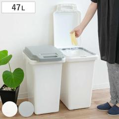 �S�~�� 47L �R�� �h�L ���� �ӂ��t�� ���b�N�@�\ �i ���ݔ� 47���b�g�� �L��Ȃ� �p�b�L�� �n���h�� �R�ۉ��H ���ނ� �A���\ ���� ���O
