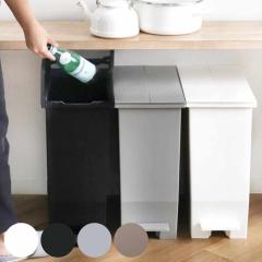 アスベル フタ付きゴミ箱 リビング 40L ペダル2段ワイド 丸洗い可 黒