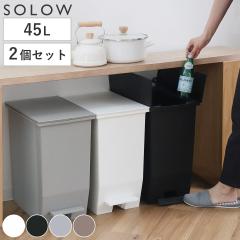 �S�~�� 45L SOLOW �\���E ���F2�Z�b�g �y�_���I�[�v���c�C�� �i ���ݔ� 45���b�g�� ���F 2�� �y�_���� �ӂ��t�� ���J�� ���� �I�� �X��
