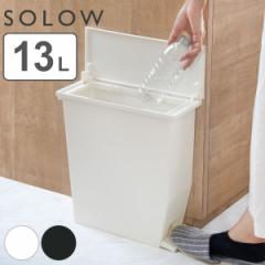 S~ 13L SOLOW y_I[vX i \E ݔ y_ 13bg ӂt X 13.5  Lb` JE^[ I R