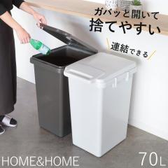 �S�~�� 70L �A�� �����O���p �Ў�ŊJ���A���_�X�g�{�b�N�X HOME&HOME �i ���ݔ� 70���b�g�� ���O ���� ���p �ӂ��t�� ���� �V���v�� ��