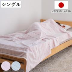タオルケット シングル 泉州タオル 綿100％ 洗濯機OK WAXYO （ ケット コットン 布団 寝具 日本製 ワクシーヨ 洗濯OK 掛け布団 ウォッシ