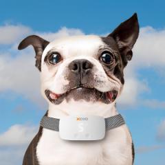 ��� �G�N�X�R�[ �o�[�N�g���[�j���O�J���[ �����p ���ʖi���h�~ �i ���ʖi���h�~��� ���� �g���[�j���O ���ʖi�� �o�[�N�R���g���[