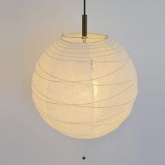 �y���_���g���C�g 1�� 25cm �� �c�C���z���C�g �a���Ɩ� ���{�� �ʌ��f�U�C�� �i �Ɩ� �V�� �a���Ɩ� �� �a�� �݂艺�� 1���� �Ɩ����