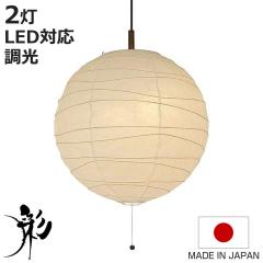 �y���_���g���C�g ���a48�~����45.5cm wave ������ 2�� �i ���� �V��Ɩ� LED ���C�g �Ɩ� �Ɩ���� �V�� �V�F�[�h ���{�� �a�� �a���_��