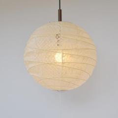 �y���_���g���C�g 2�� cross ���q�������~���~�� ���a60�~����57cm �a���Ɩ� ���{�� �a�� �V��Ɩ� �i �Ɩ� �V�� �a���Ɩ� �� �݂艺�� 