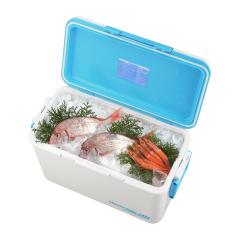 �N�[���[�{�b�N�X 36L �f�I���C�h38 ���L �i �ۗ� �N�[���[BOX �ۗ�{�b�N�X �N�[���[�o�b�O �①�{�b�N�X 36���b�g�� �N�[���[ �{�b�N�X