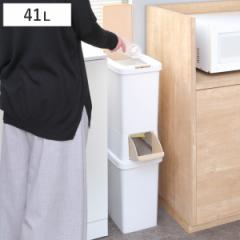 ゴミ箱 41L 分別 二段 ダストボックスファイン スリム （ ごみ箱 41リットル 縦型 2分別 ふた付き プッシュ式 省スペース シンプル ダス