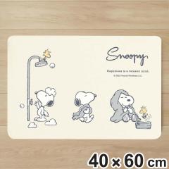 �o�X�}�b�g 40�~60cm �]���y������炩�o�X�}�b�g �X�k�[�s�[ �i �]���y �\�t�g�o�X�}�b�g �z�� ���� �����}�b�g �}�b�g �o�X�O�b�Y �]
