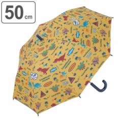 ���J���p�P 50cm �q�ǂ��p �f�B�m�W�����V�b�N �i �P ���� �J�T ���P �J�P ���J���p �ՔM �Ռ� UV�J�b�g ���O�� �J�b�g �M���Ǒ΍� �y�� 