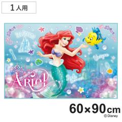 ���W���[�V�[�g 60�~90cm �A���G��24 S�T�C�Y �i �A���G�� ���W���[�}�b�g �s�N�j�b�N�V�[�g �c�t�� �ۈ牀 ���� �q���p ��l�p �s�N�j�b