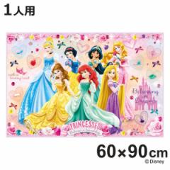レジャーシート 60×90cm プリンセス24 Sサイズ （ プリンセス レジャーマット ピクニックシート 幼稚園 保育園 遠足 子供用 一人用 ピク