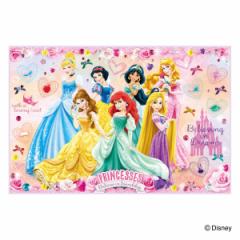 レジャーシート 60×90cm プリンセス24 Sサイズ （ プリンセス レジャーマット ピクニックシート 幼稚園 保育園 遠足 子供用 一人用 ピク