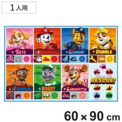 ���W���[�V�[�g S 60�~90cm �p�E�p�g25 �i �p�E�E�p�g���[�� ���W���[�}�b�g �s�N�j�b�N�V�[�g �c�t�� �ۈ牀 ���� �q���p ��l�p �s�N�j