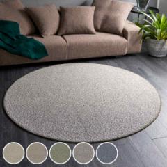 ラグ スミノエ 円形 フォルテ 100×100cm 防ダニ アレルブロック （ ラグマット カーペット 絨毯 マット 機能ラグ 直径100cm リビングマ