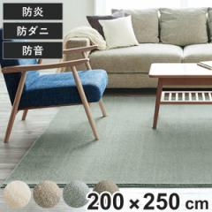 ラグ カーペット 3畳 スミノエ カーム 200×250cm （ 絨毯 マット ラグマット 長方形 床暖対応 防ダニ加工 防炎加工 フォースター メディ