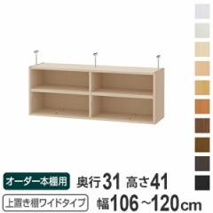 uI 41cm Ch^Cvp 106-120cm s31cm Ή i V䍂226-235cm I[_[{I [I Type41 ubNVFt r