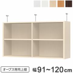 ��u���I �˂�����^�C�v �I�[�v�X�p Type65 ��91�`120cm �i ���[�I �˂����� �V��˂����� �I�[�_�[ �Z�~�I�[�_�[ ���b�N ���[���b�N ��