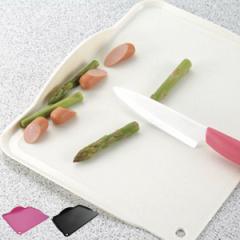 まな板 抗菌 なん立ってまな板 スタンド プラスチック製 （ まないた 俎板 マナイタ おすすめ 自立 立つ 自立型 カッティングボード 家庭