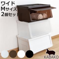 ���[�{�b�N�X �O�J�� ��60�~���s42�~����31cm KABAKO �J�o�R ���C�h M ���F2�Z�b�g �i ���[�P�[�X ���{�� ���[ �ߑ��P�[�X �������ᔠ 