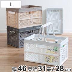 収納ボックス 幅46×奥行31×高さ28cm 折りたたみ カゴ バスケット L プロフィックス （ プラスチック 収納ケース コンテナ コンパクト 