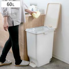 S~ 60L ӂt Zp R  X y_y[ i ݔ 60bg  32.5cm y_ Lb` e rO RۉH