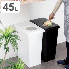 �S�~�� 45L ���j�[�h ���b�N���v�b�V�� �ӂ��t�� �i 45���b�g�� 45l ���� �L��Ȃ� �p�b�L�� ���ݔ� ��27 �_�X�g�{�b�N�X ���� �I�� �X��