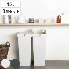 �S�~�� 45L ���F3�Z�b�g ���j�[�h �t���b�v�I�[�v�� �v���X�`�b�N �i ���ݔ� 45���b�g�� ���J�� �I��OK �L�b�`�� �ӂ��t�� �X���� ����
