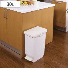 �S�~�� 30L �ӂ��t�� �X���� �y�_���y�[�� �i ���ݔ� 30���b�g�� �y�_�� �R�� �L���X�^�[�t�� �L�b�`�� �V���v�� �S�~�� ���� �L�b�`�� 