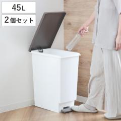 �S�~�� 45L ���F2�Z�b�g �X�����y�_�� �ӂ��t�� �i ���ݔ� 45���b�g�� ���F 2�� �܂Ƃߔ��� �Z�b�g �X���� �y�_�� �L�b�`�� ���� �_�X