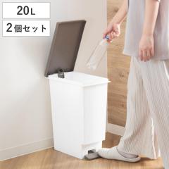 �S�~�� 20L ���F2�Z�b�g �X�����y�_�� �ӂ��t�� �i ���ݔ� 20���b�g�� ���F 2�� �܂Ƃߔ��� �Z�b�g �X���� �y�_�� �L�b�`�� ���� �_�X