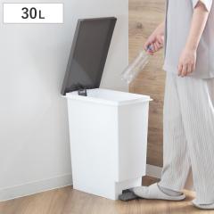 �S�~�� 30L �X�����y�_�� �ӂ��t���u���E�� �i ���ݔ� 30���b�g�� �X���� �y�_���� �ӂ��t�� �p�^ �L�b�`�� ���� ������ ��23.5cm �V���v
