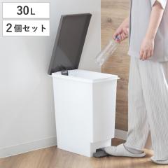 �S�~�� 30L �X�����y�_�� 2�Z�b�g �ӂ��t�� �u���E�� �i ���ݔ� 30���b�g�� �X���� �y�_���� �ӂ��t�� �p�^ �L�b�`�� ���� ������ ��23