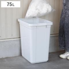 �S�~�� 75L �G�R�y�[�� �{�̂̂� �i 75 ���b�g�� �_�X�g�{�b�N�X ��e�� �v���X�`�b�N ���ݔ� �p�^ ������ ���� �������� �R�S�~ �s�R