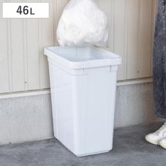 �S�~�� 46L �G�R�y�[�� �{�̂̂� �i 46 ���b�g�� �_�X�g�{�b�N�X �L�b�`�� ��e�� �v���X�`�b�N ���ݔ� �p�^ ������ ���� �������� �R