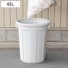 �S�~�� 45L �{�� �G�R�y�[�� �i ���ݔ� �t�^�ʔ��� �{�̂̂� 45���b�g�� �z���C�g �Đ��v���X�`�b�N�g�p ���b�N�\ ���O�p ���O�p�S�~��