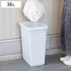 �S�~�� 36L �G�R�y�[�� �{�̂̂� �i 36 ���b�g�� �_�X�g�{�b�N�X �L�b�`�� ��e�� �v���X�`�b�N ���ݔ� �p�^ ������ ���� �������� �R