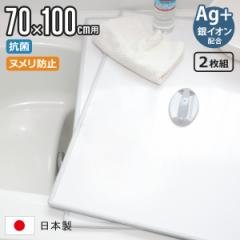 Cӂ gݍ킹 70~100cm p t U10 2g AgCI { 68~98cm i CW Ct^ R ~[t@ C 