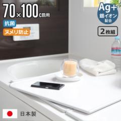 ���C�ӂ� �g�ݍ��킹 70�~100cm �p U10 2���g Ag��C�I�� ���{�� ����68�~98cm �i ���C�W ���C�t�^ �R�� �k�����h�~ �~���[�t�@�� ���C 