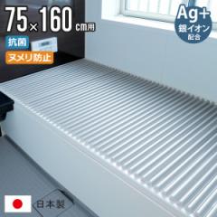 Cӂ Vb^[ L16 75~160cm p AgCI R C[W[EF[u 75~160.4cm i CW Ct^ Jrɂ ~[t@