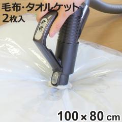圧縮袋 毛布・タオルケット用 2枚入 （ 100×80cm シングル ダブル 毛布 タオルケット ふとん圧縮袋 布団収納 布団収納袋 布団 収納 収納