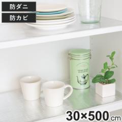 食器棚シート HC防虫棚シート アルミ （ 500×30cm シート 食器棚 防カビ 防虫 食器 保護 日本製 棚 奥行30 敷く フリーカット クッショ