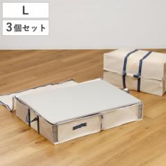 収納袋 L 3way 幅100×奥行70×高さ18cm 空間の匠 衣類 衣類収納袋 透明窓付き 3個セット （ 衣類収納 収納 衣類ケース クローゼット収納