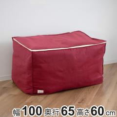 �z�c���[�� �z�c���[ ���[�� �����z��BOY �x���g�t�� ��100�~���s65�~����60cm �i �����z�� ���z�� �z�c�P�[�X �z�c���[�P�[�X �z�c �ӂ�