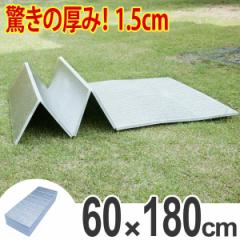 レジャーシート アルミ 厚手 60×180cm レジャーマット 極厚 15mm 折りたたみ （ アルミマット マット クッション ピクニックシート キャ
