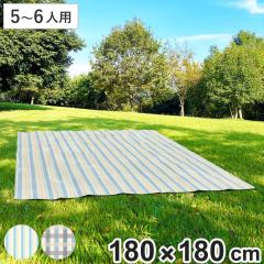 ���W���[�V�[�g �\�t�g�N�b�V����M 180�~180cm �y�O�E�n�g������ �i ���� �\�t�g �N�b�V���� �V�[�g �s�N�j�b�N�V�[�g �傫�� �唻 ���W