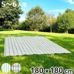 レジャーシート ソフトクッションM 180×180cm ペグ・ハトメ無し （ 厚手 ソフト クッション シート ピクニックシート 大きい 大判 レジ