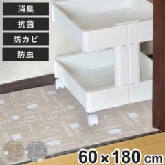 防虫シート 防虫クローゼットシート 60×180cm 消臭 防カビ 抗菌 加工 （ クローゼット用 クローゼットシート 床 防虫シート 押入れ収納 