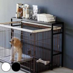 �R����� nooks �L�k�y�b�g�P�[�W�ド�b�N �k�[�N�X �i 4903208040860 �P�[�W�ド�b�N �L�k�� �y�b�g�p�i �y�b�g�P�[�W �y�b�g�P�[�W�ド