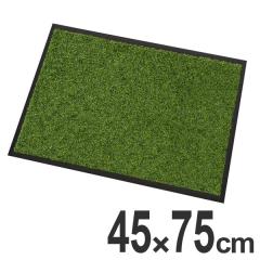 ���փ}�b�g�@���C�t�X�e�b�v�}�b�g�@45�~75cm�@�O���[�� �i �D���Ƃ��}�b�g �G���g�����X�}�b�g ���� �R���h�� �j 